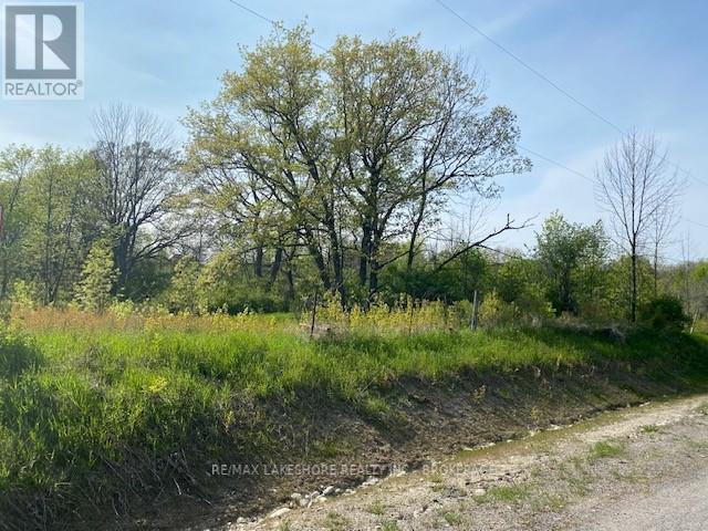 Listing X5987557 - Large Photo # 6