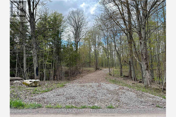 214 RIGGS RD, Madoc
