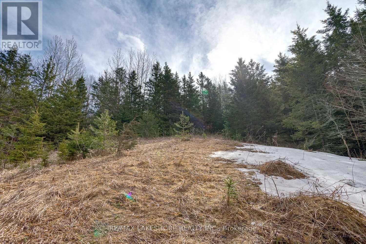 Listing X6015405 - Large Photo # 38