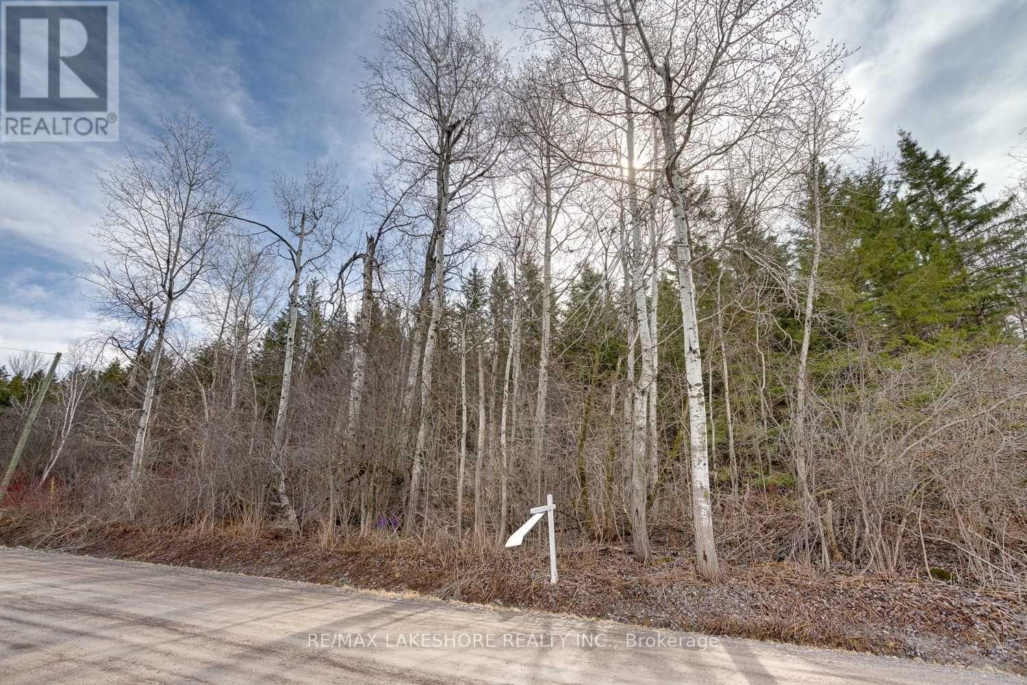 Listing X6015405 - Large Photo # 29