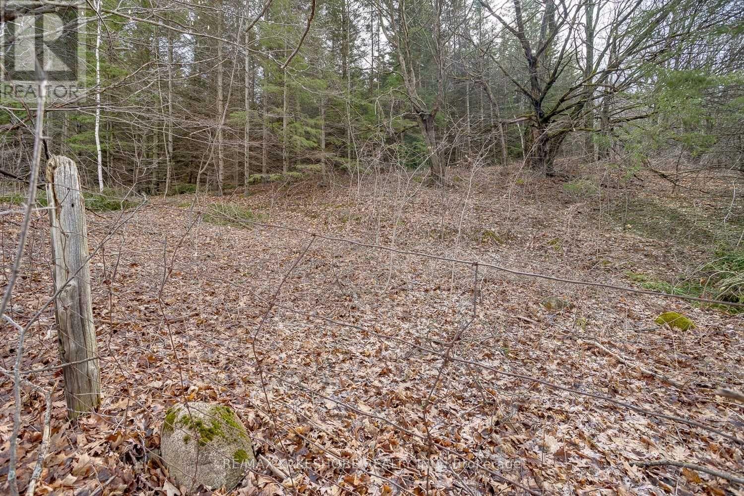 Listing X6015409 - Large Photo # 38