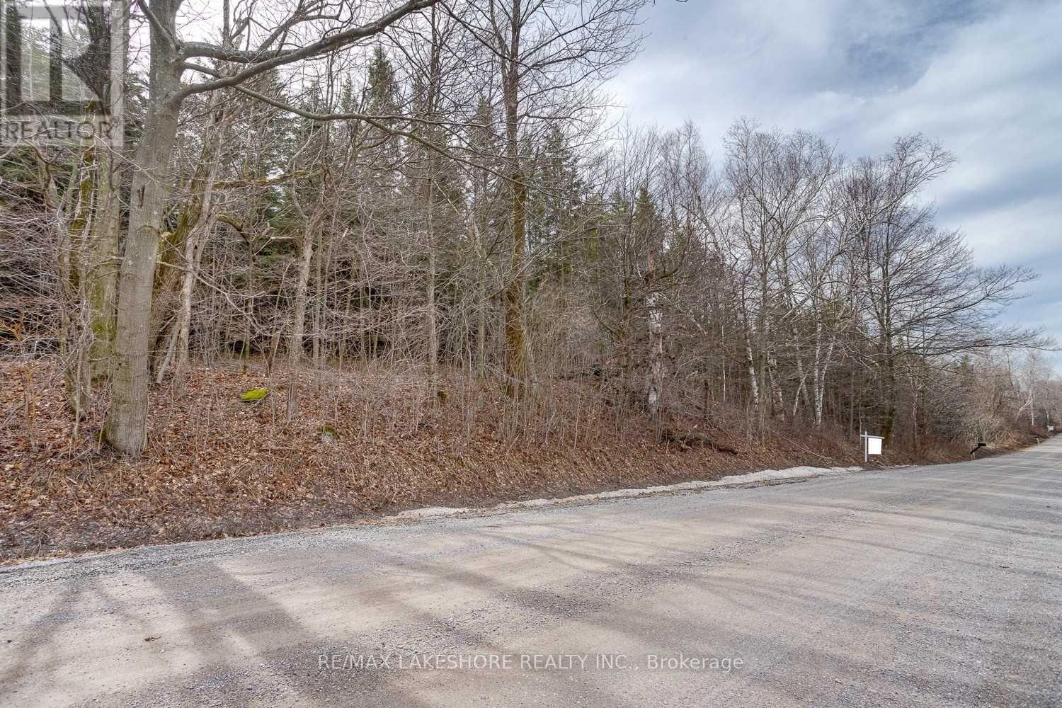 Listing X6015409 - Large Photo # 30