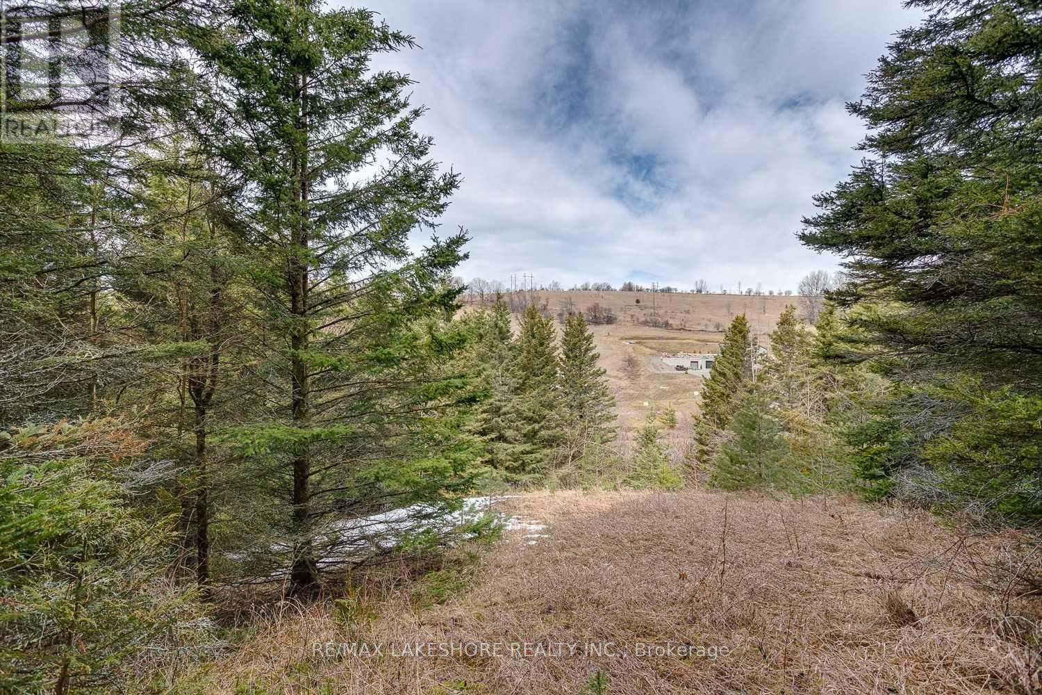 Listing X6015409 - Large Photo # 24