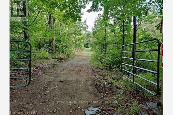 1134 WALKERS LINE, Algonquin Highlands