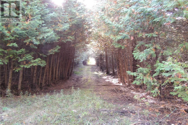 LOT 90 HIGHWAY 10 RD, Chatsworth