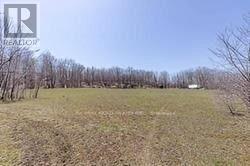 Listing X6054511 - Large Photo # 11