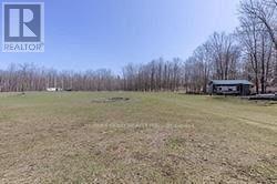 Listing X6054511 - Large Photo # 12