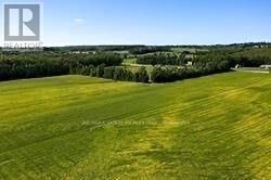 Listing X6054511 - Large Photo # 7