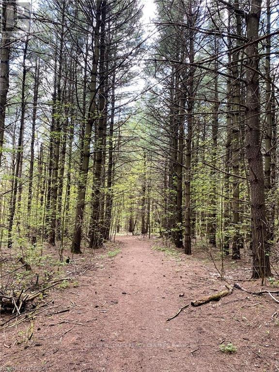 PT LT24 PART LOT 24 SIDEROAD