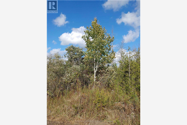 972 ENRIGHT RD, Tyendinaga