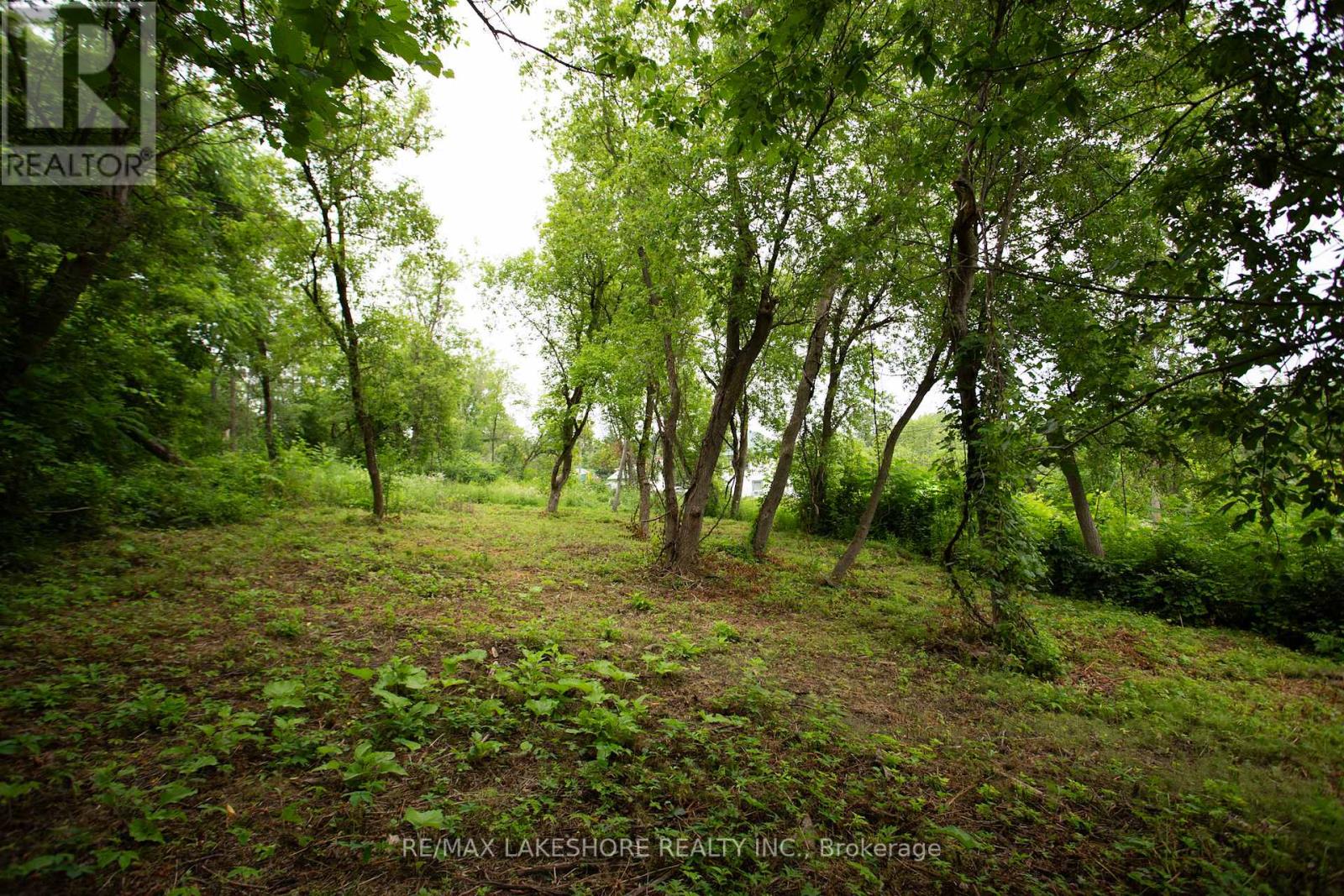 Listing X6129716 - Large Photo # 20