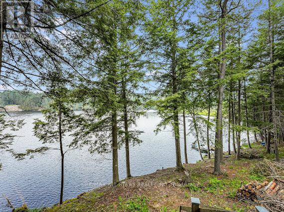 Listing X6211988 - Large Photo # 5