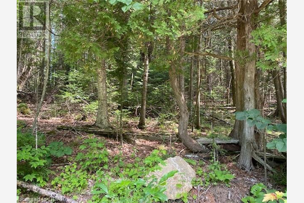 0 CROSS COUNTRY RD, Bancroft
