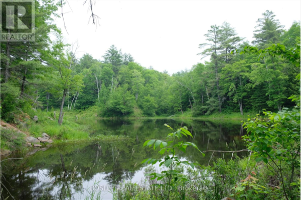 1874 HIGHWAY 11  N, Gravenhurst