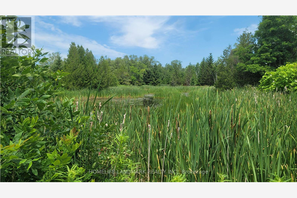 BLOCK73 SHAWANO DR, Alnwick/Haldimand