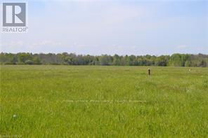 Listing X6689082 - Large Photo # 4