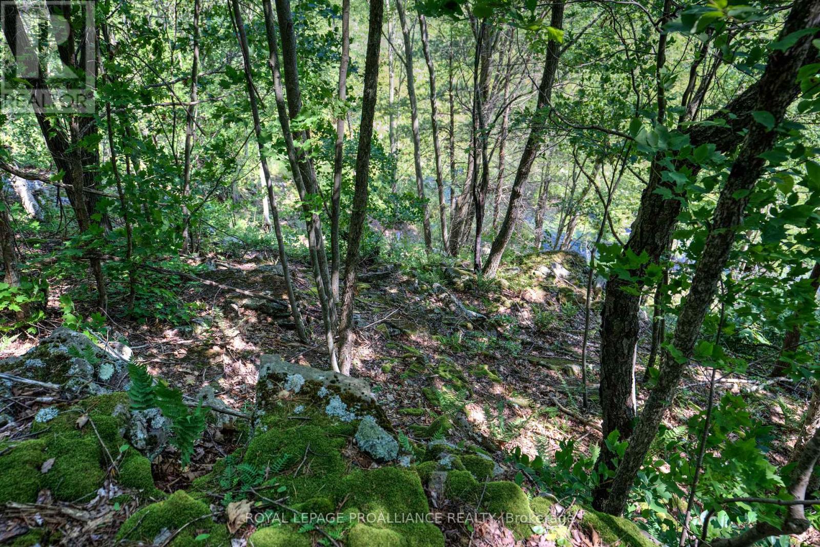 1245 MCCONVILLE LANE