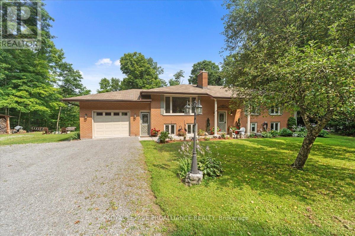 40 RAPIDS CRT