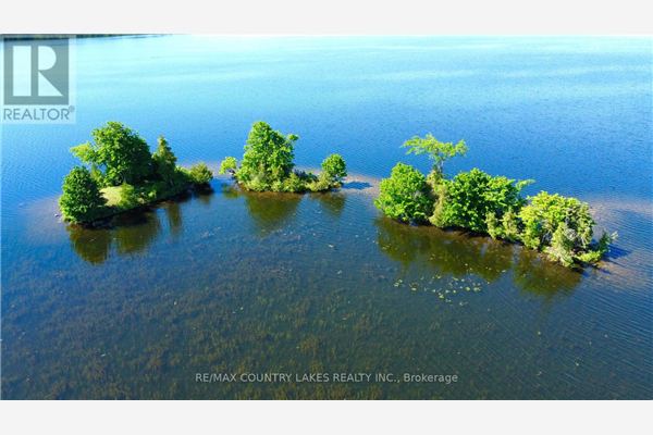 LT 1 ISLAND, Kawartha Lakes