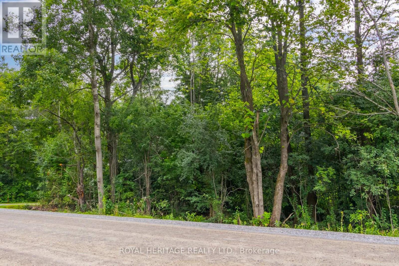 299 CRANDALL RD