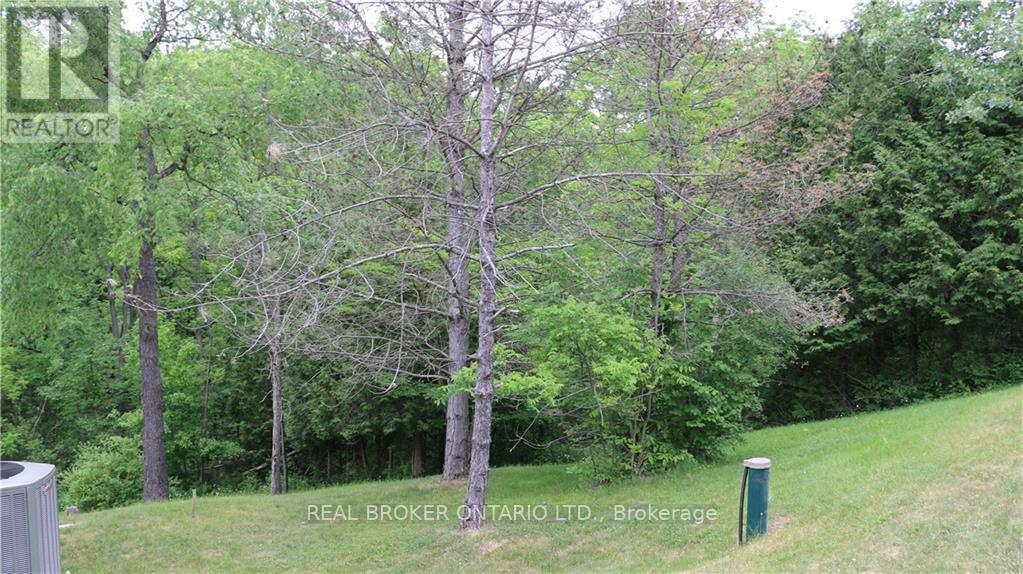 Listing X6761724 - Large Photo # 7