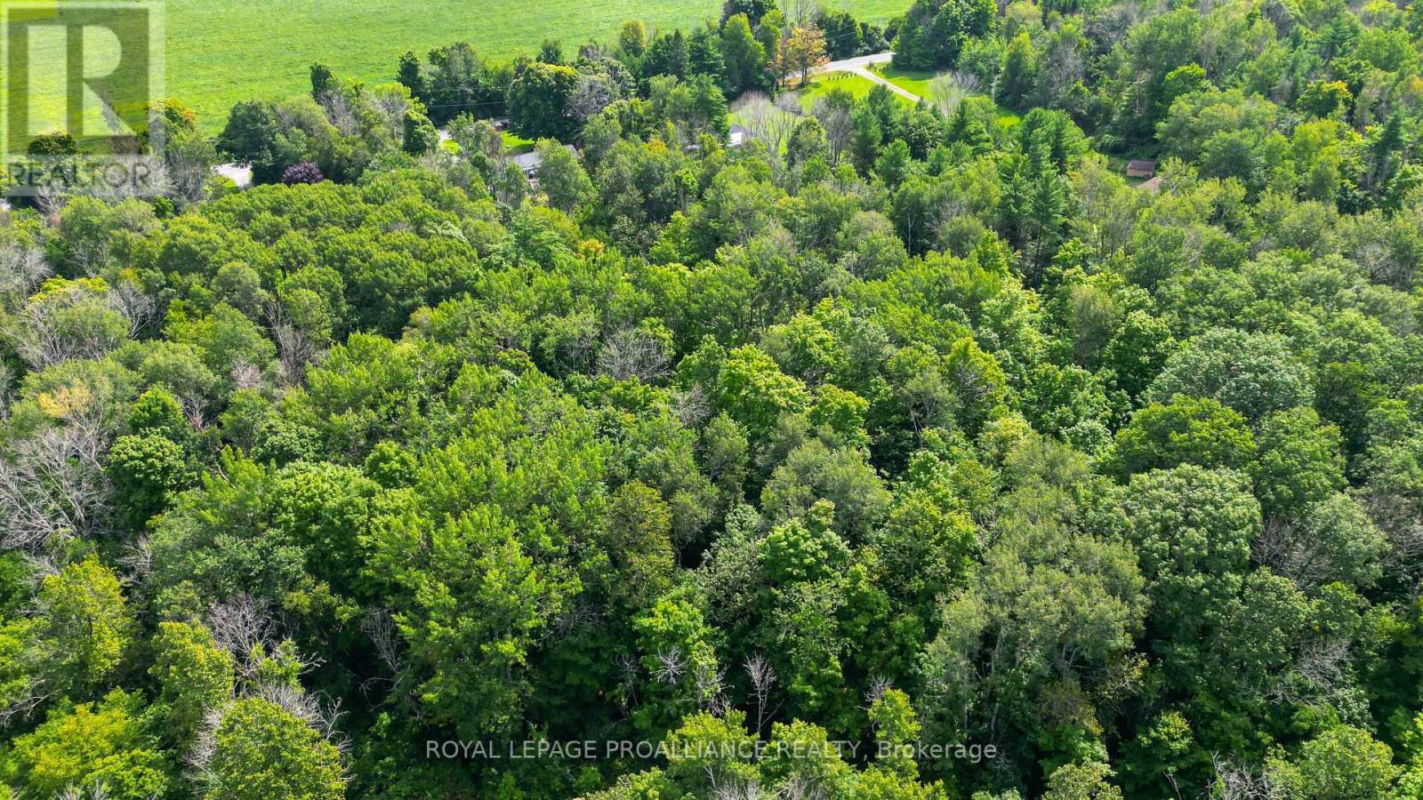 Listing X6767580 - Large Photo # 3