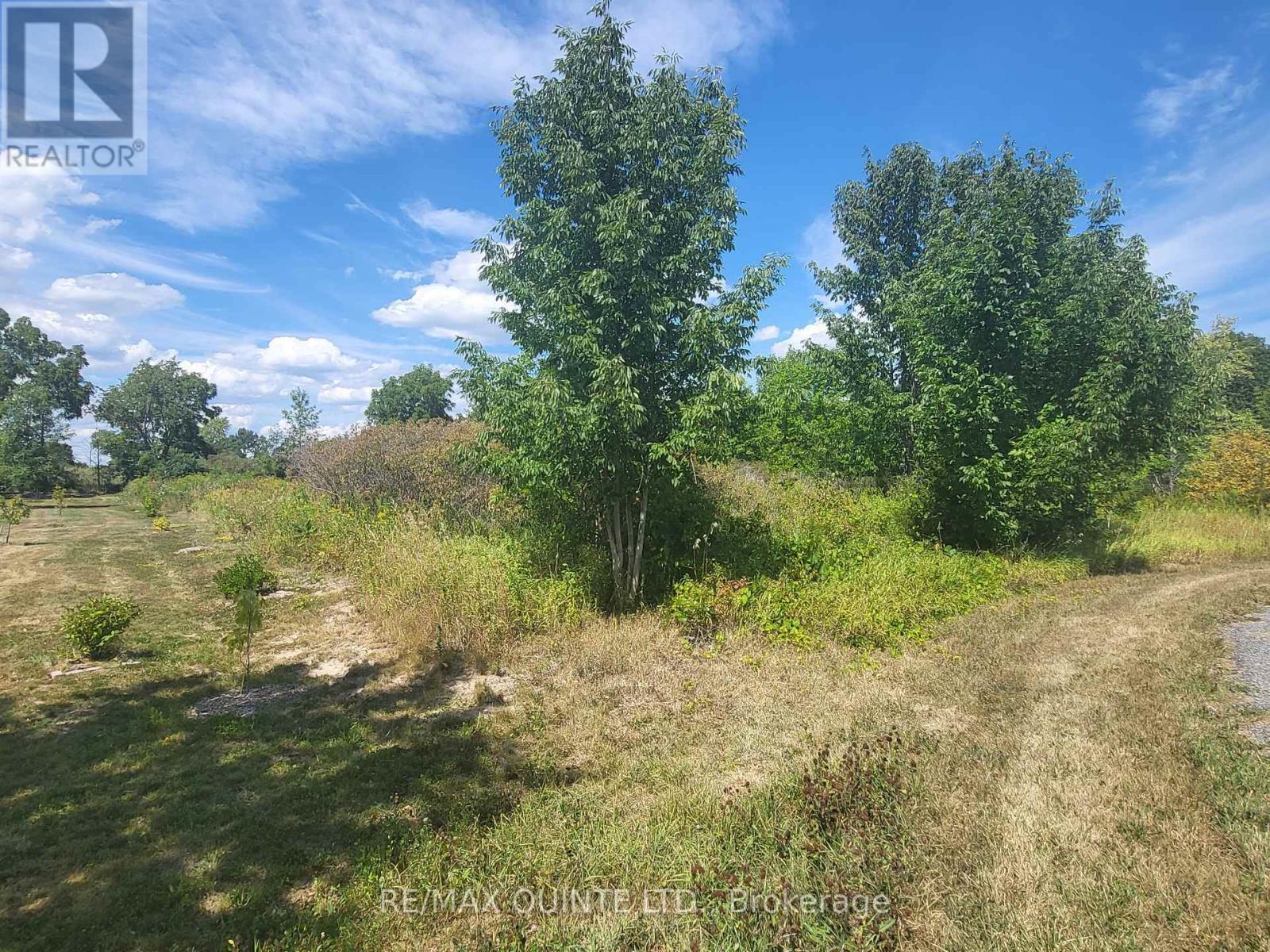 BESIDE 55 NORTH MARYSBURGH CRT