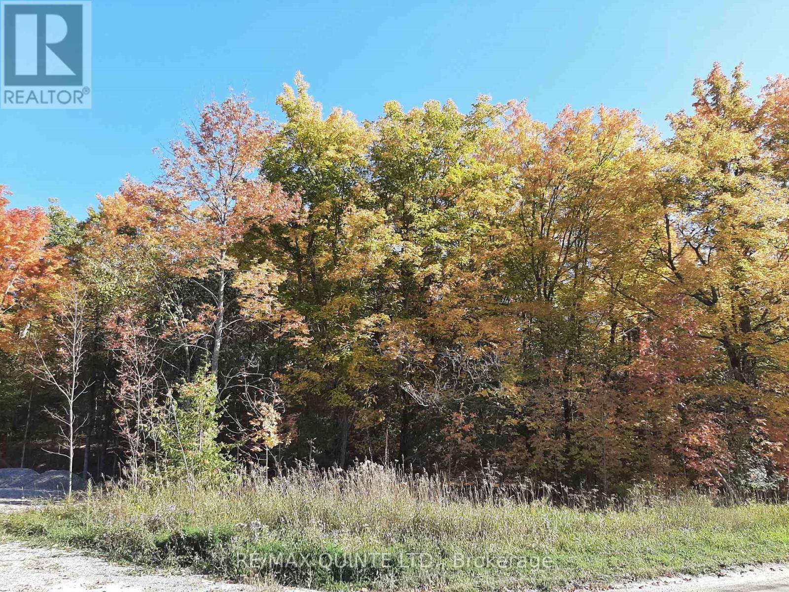 1532 O'HARA RD