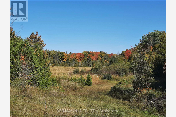 1532 OHARA RD, Madoc
