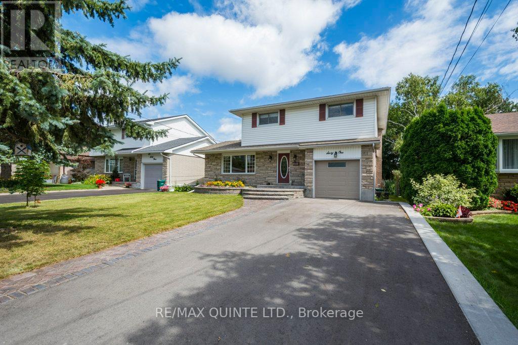 61 DUNNETT BLVD