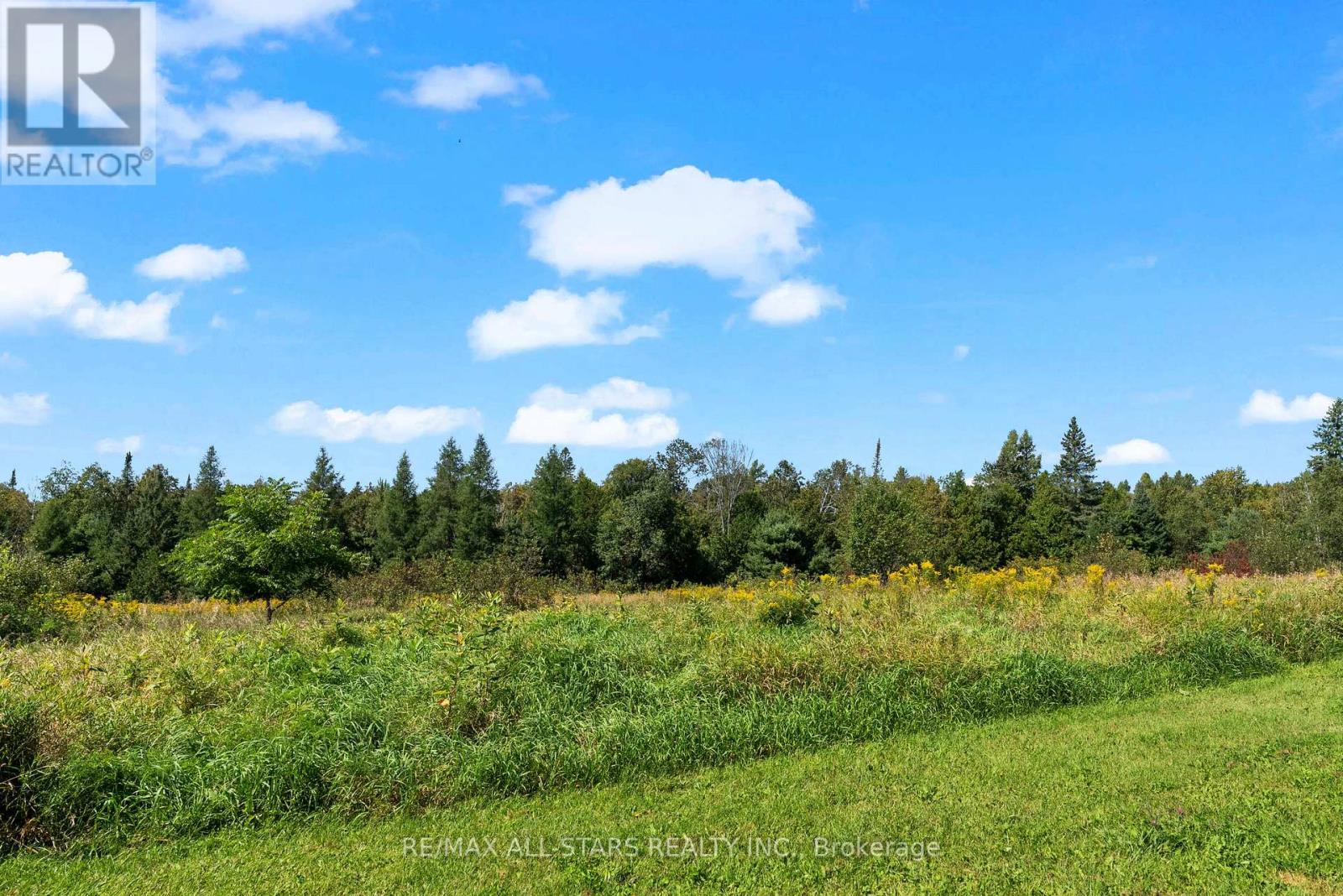 Listing X6801440 - Large Photo # 34