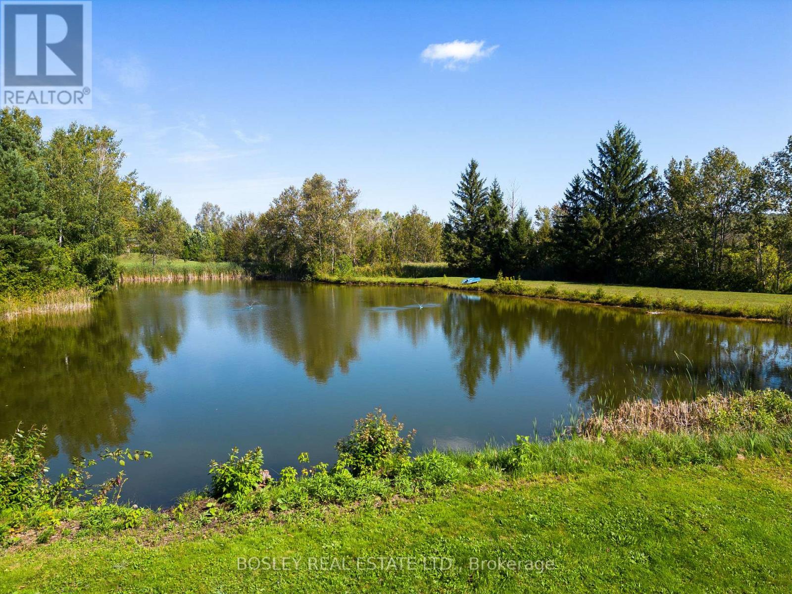 823019 MASSIE RD