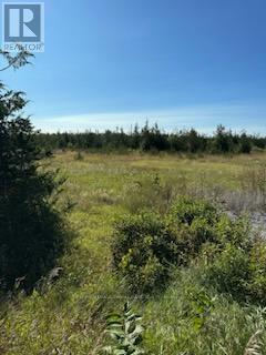 331 COUNTY ROAD 14 RD