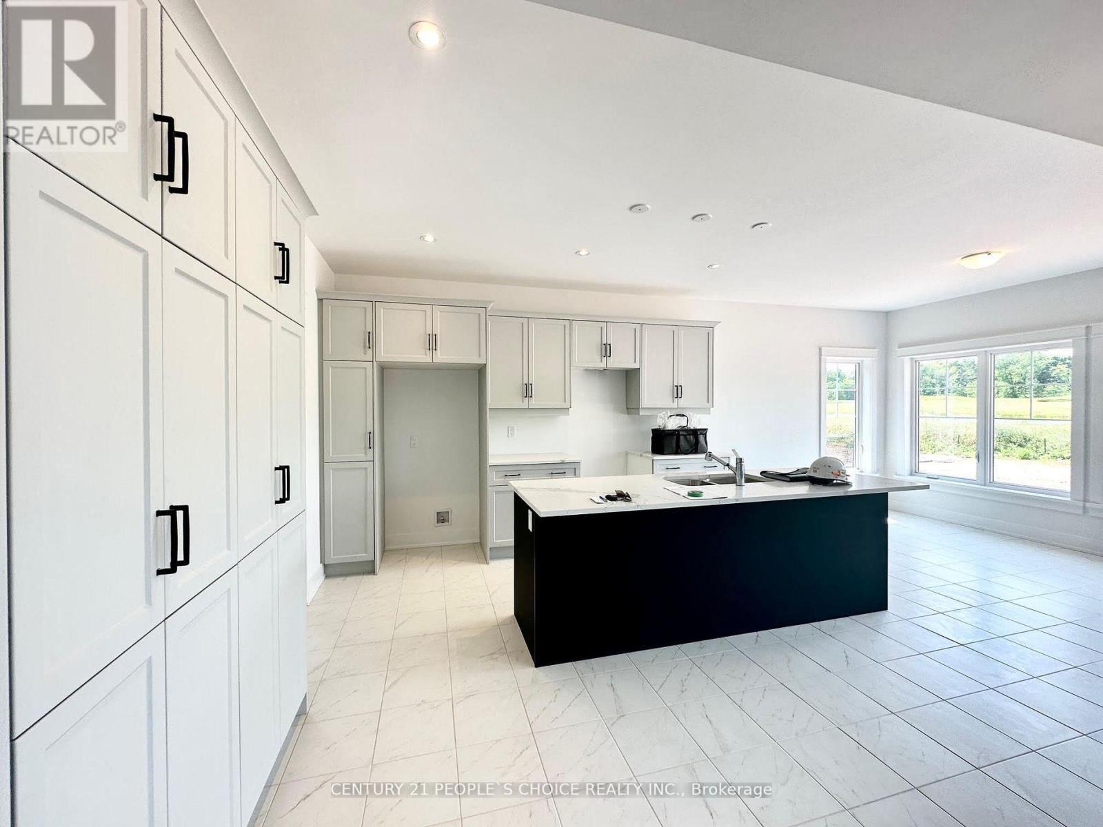 236 SNOWBERRY LANE