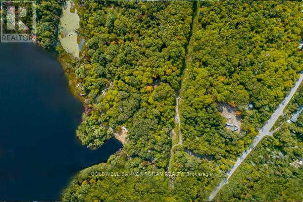 1187 WINDERMERE RTE, Muskoka Lakes