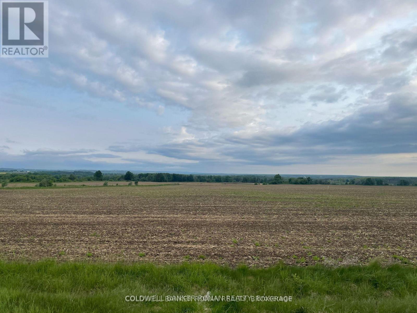 Listing X7009544 - Large Photo # 6
