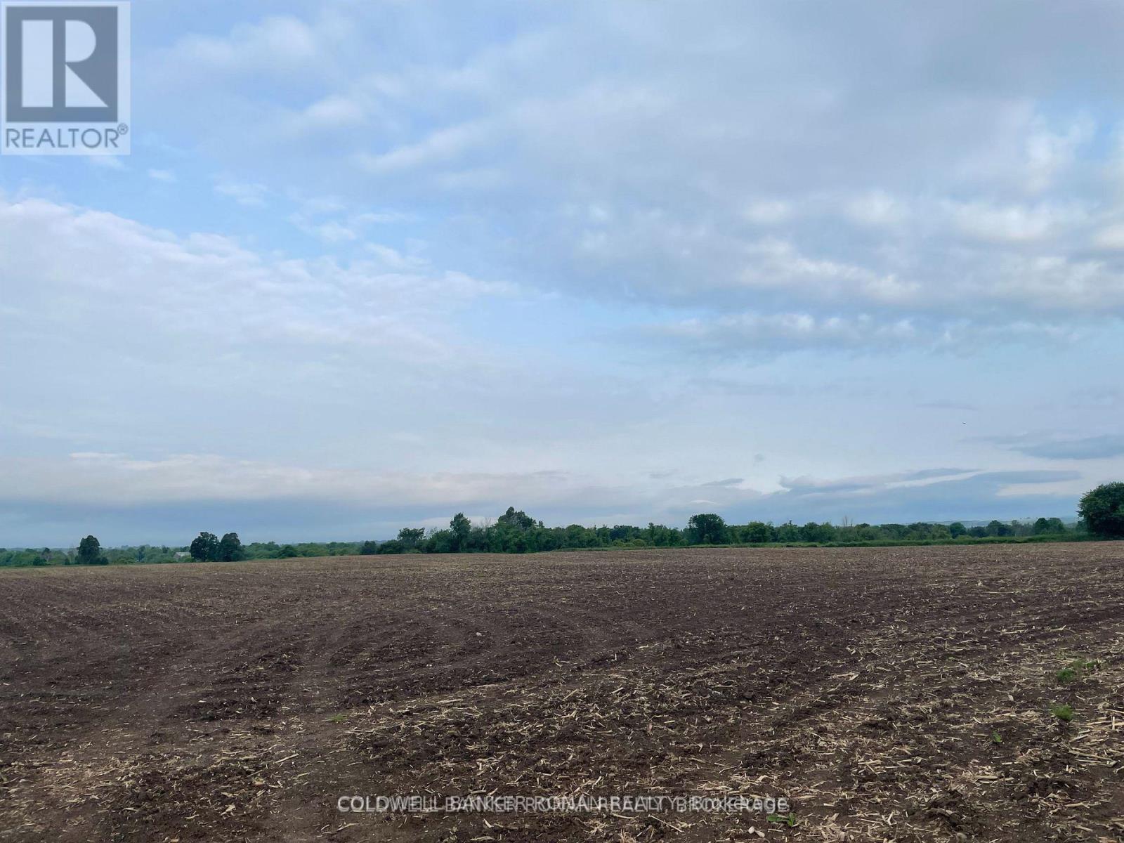 Listing X7009544 - Large Photo # 5