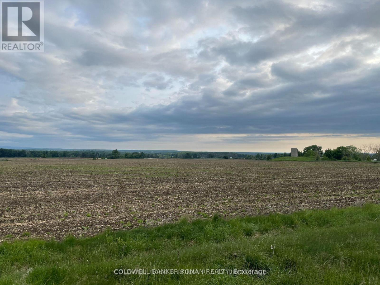 Listing X7009544 - Large Photo # 4