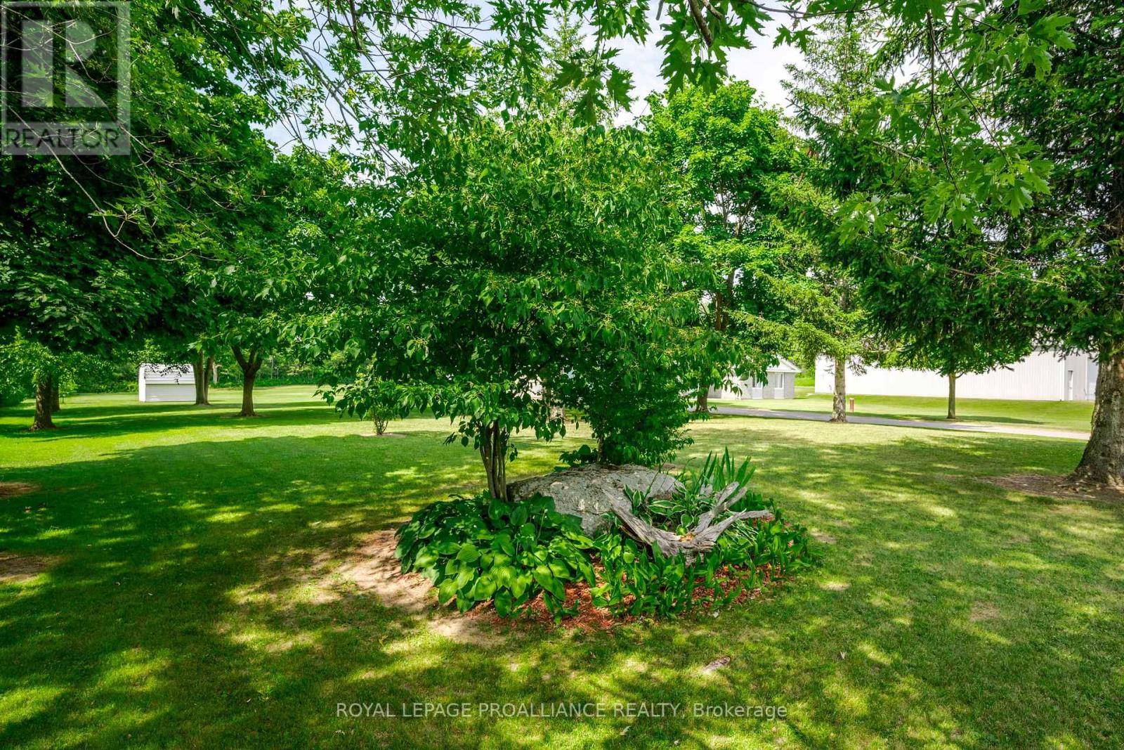 Listing X7010154 - Large Photo # 36