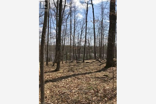 941 NORTHEYS BAY (NEXT) RD, North Kawartha