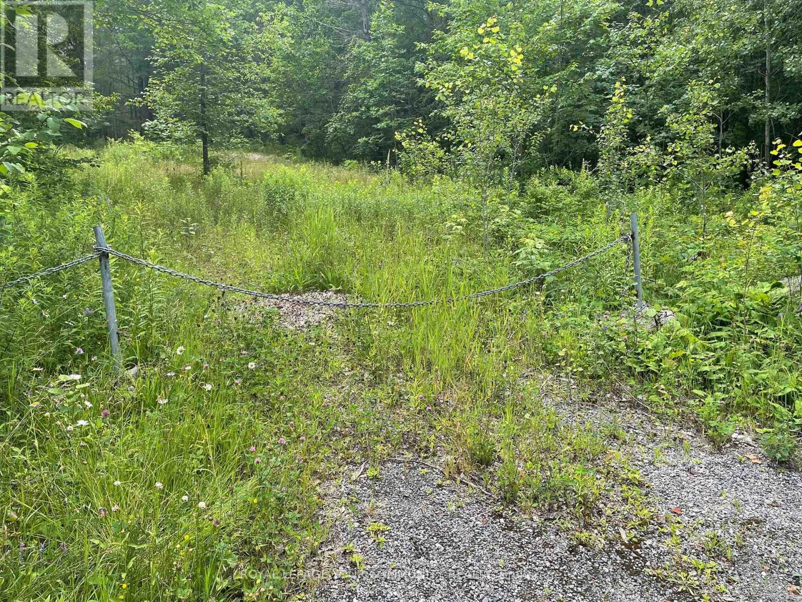 1057 LOON LAKE DR