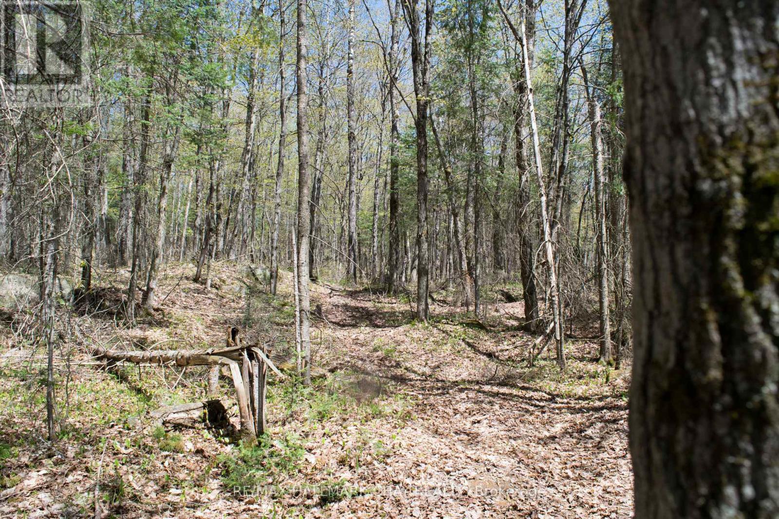 1800 BEAR CAVE RD