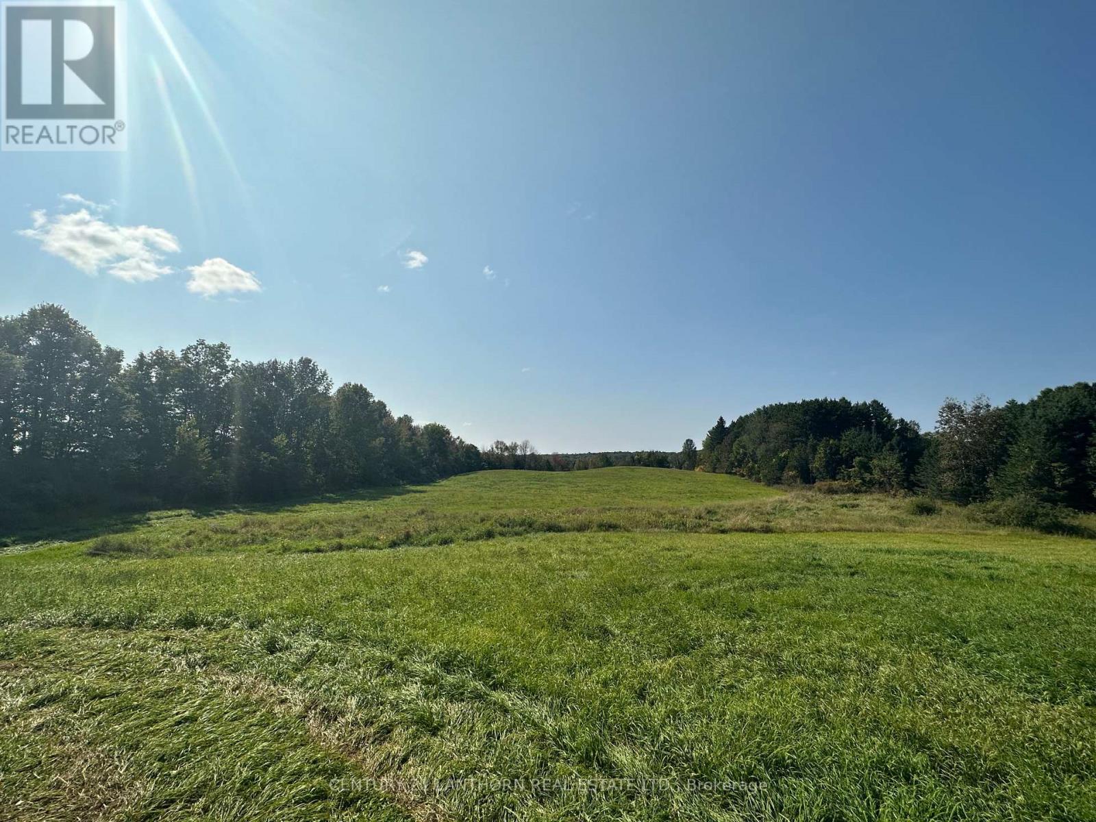 919 COOPER RD