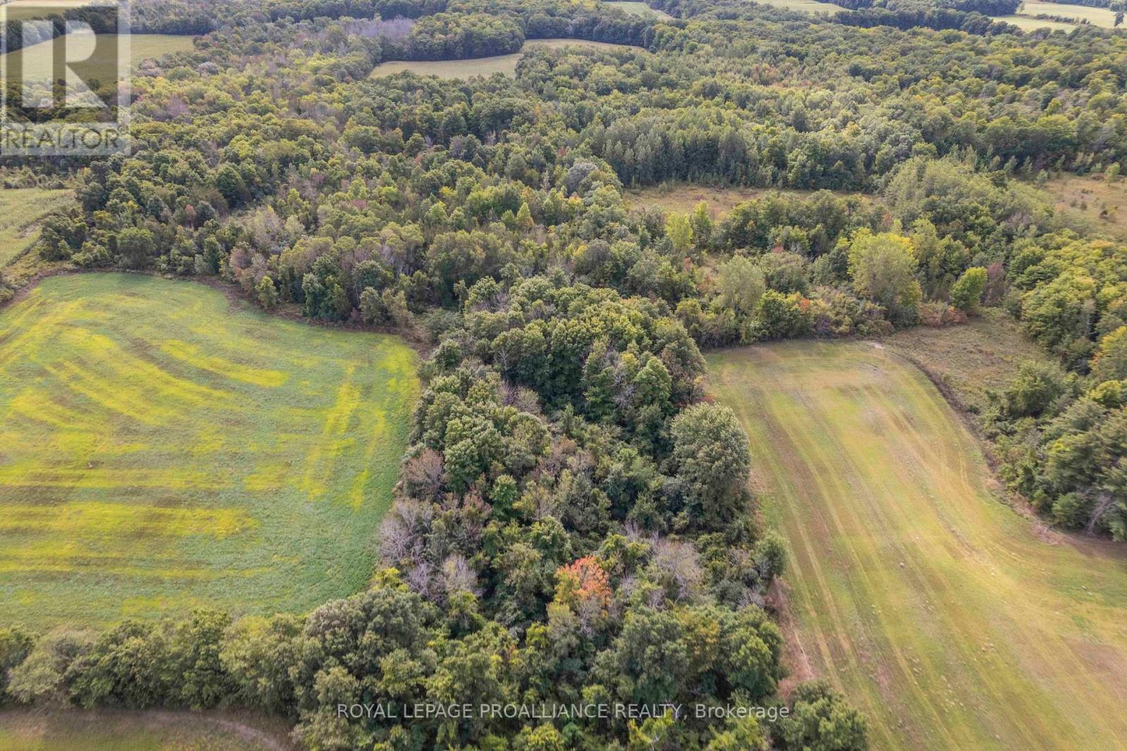 1244 COUNTY ROAD 7