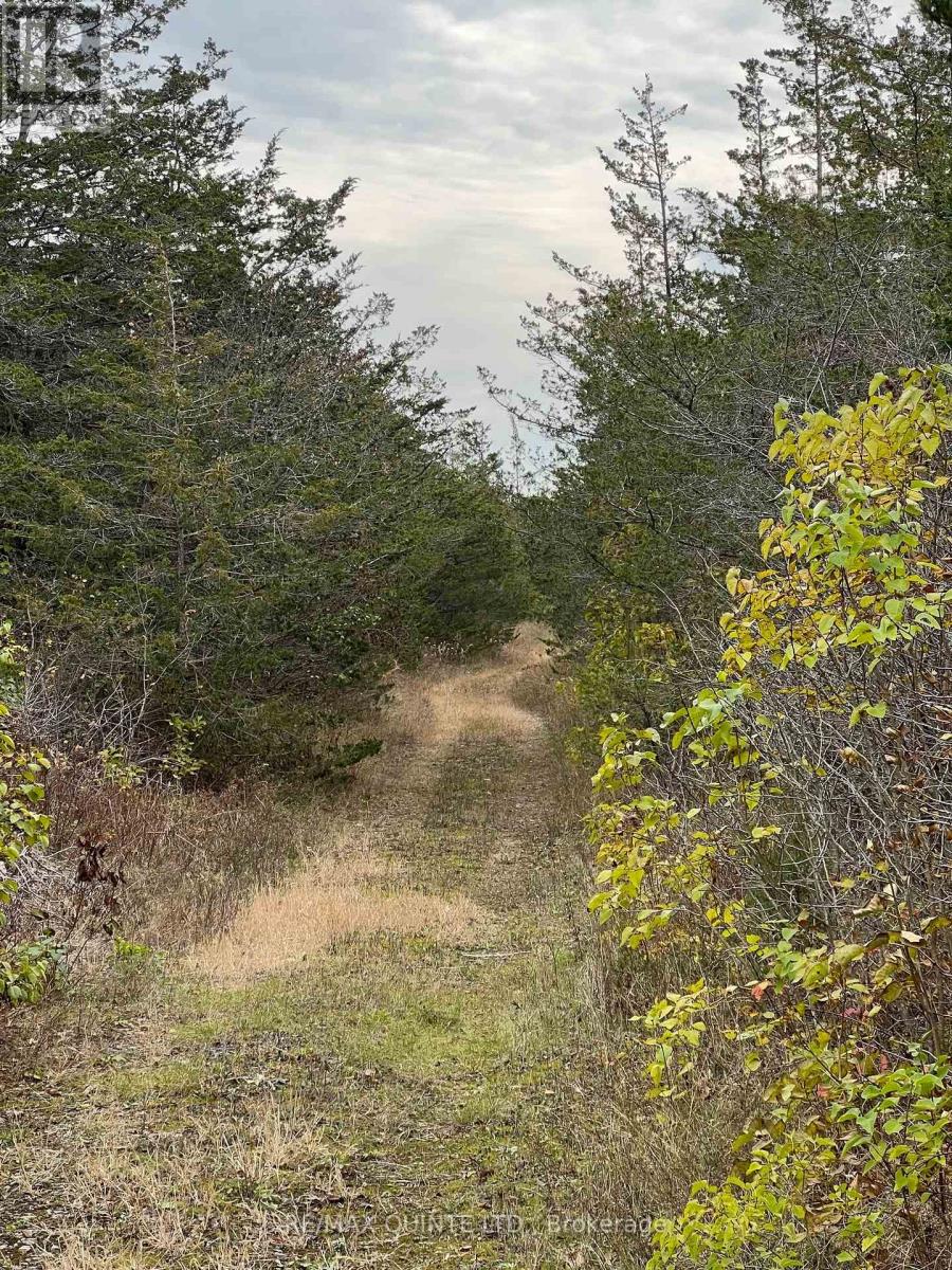 4045 COUNTY ROAD 13