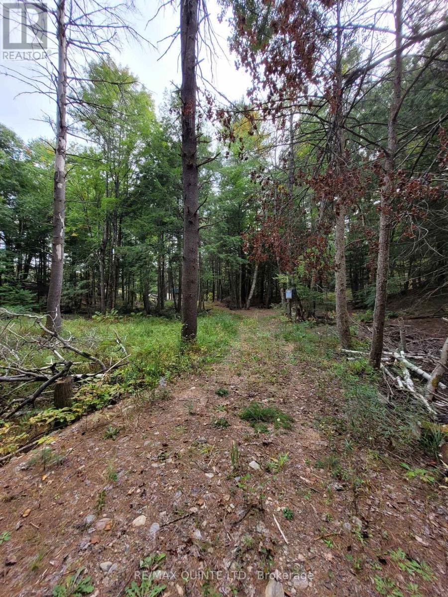 2686 FLINTON RD
