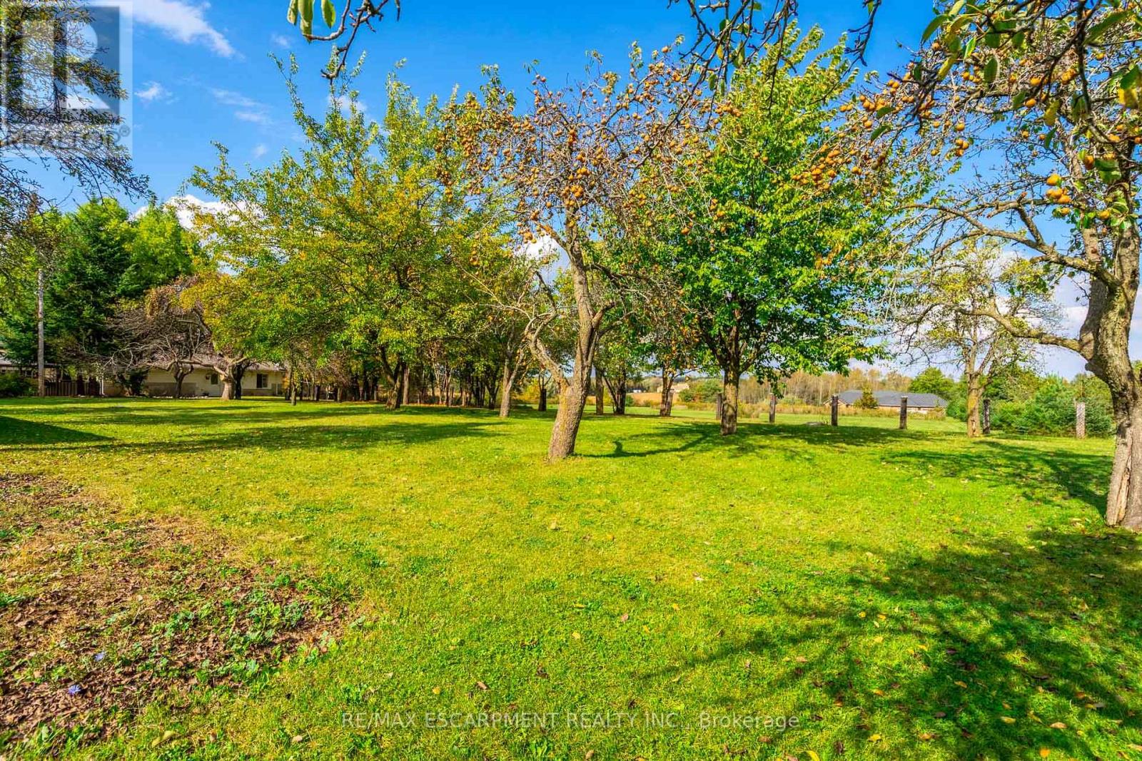 4009 HIGHWAY 6