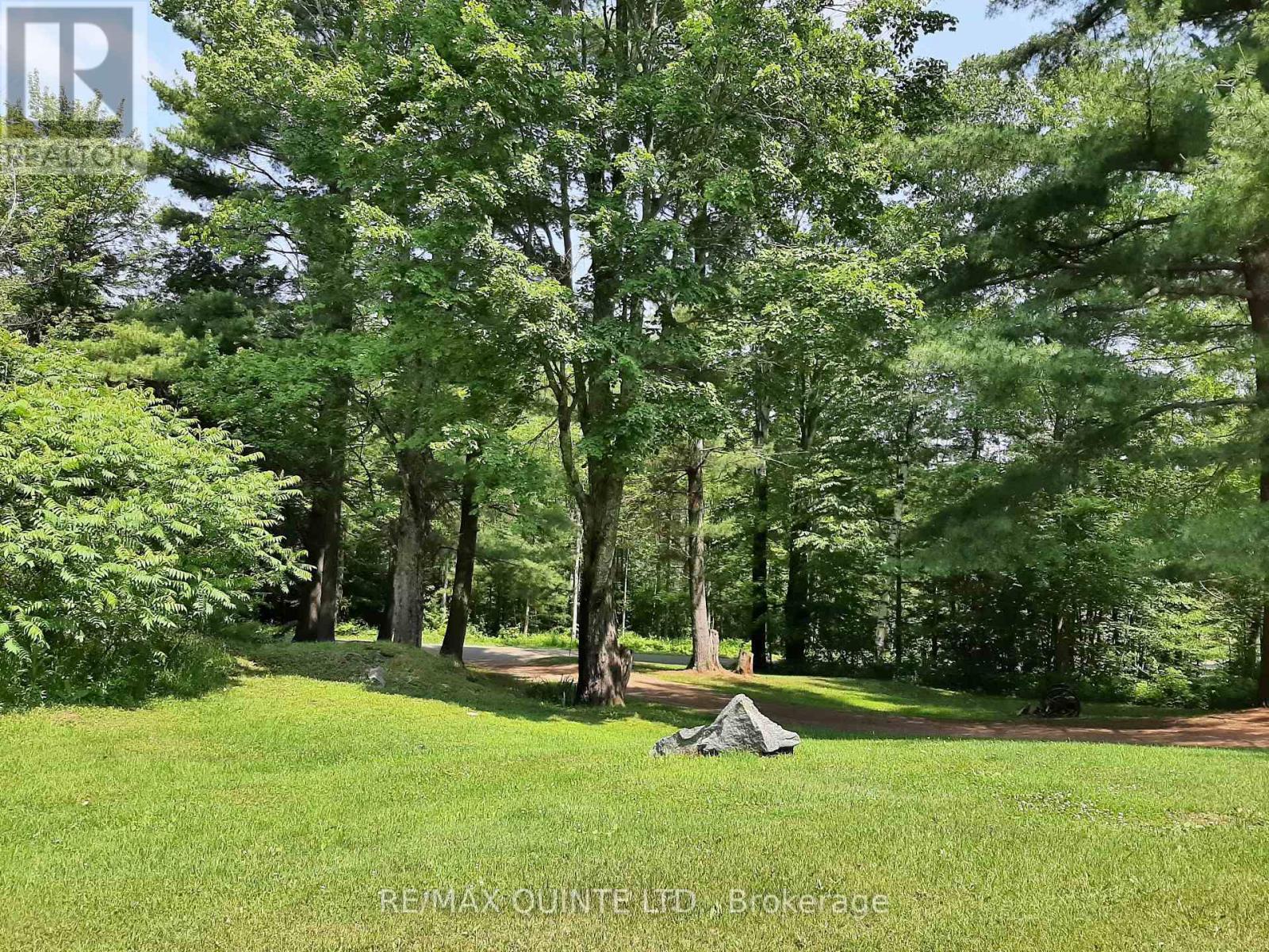 229 MOORES RD