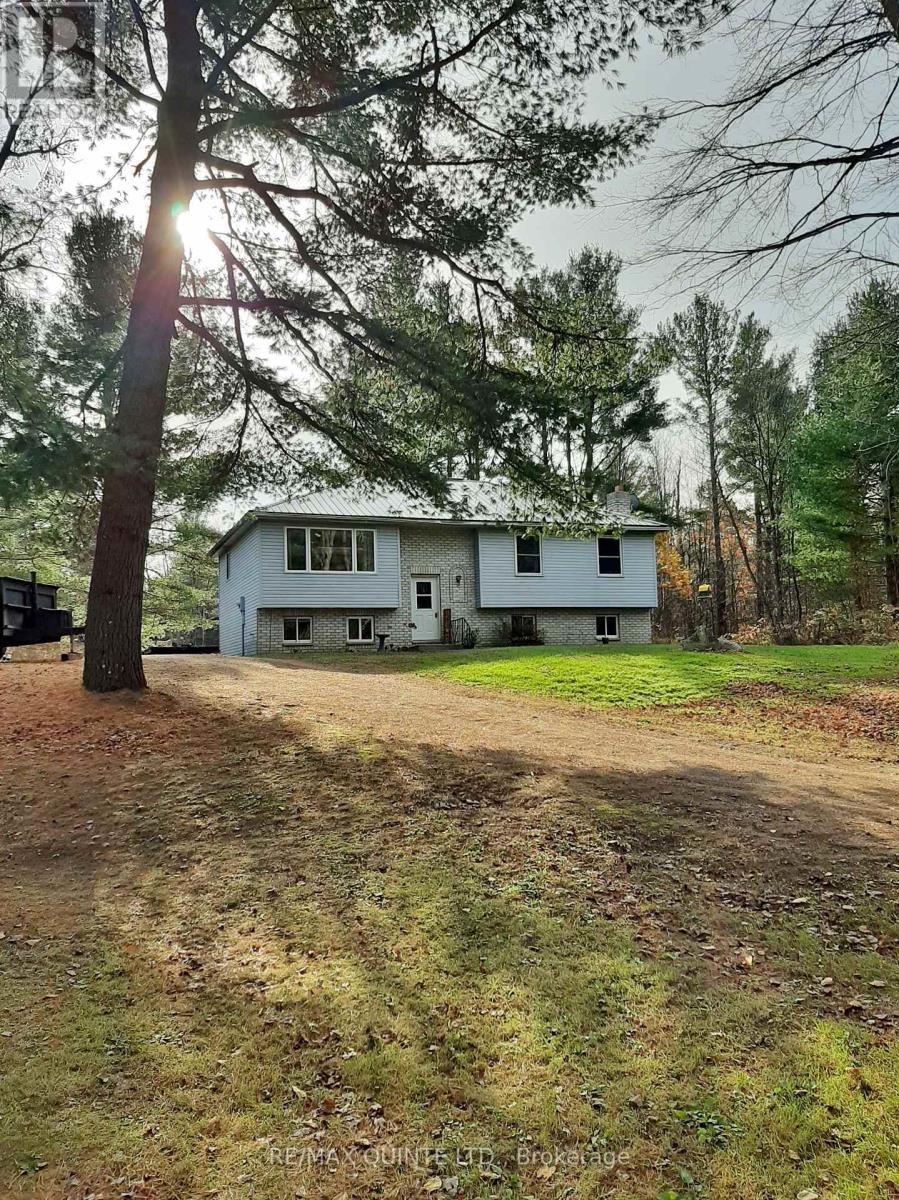 229 MOORES RD