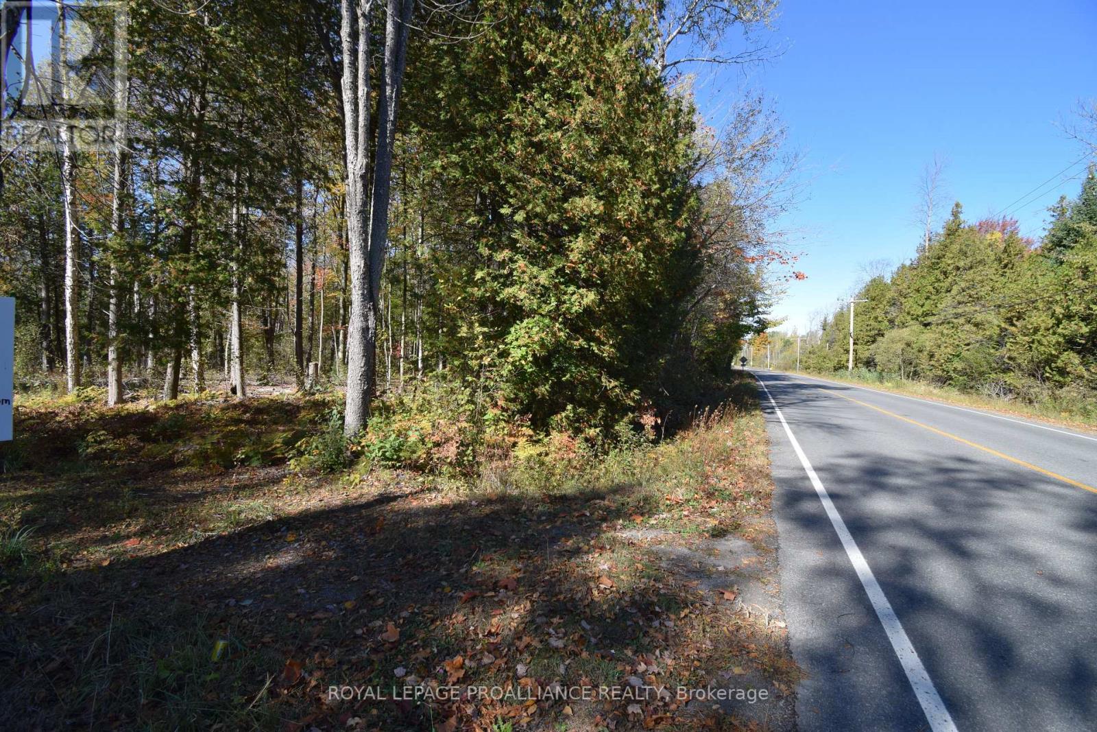 313 OLD MADOC RD
